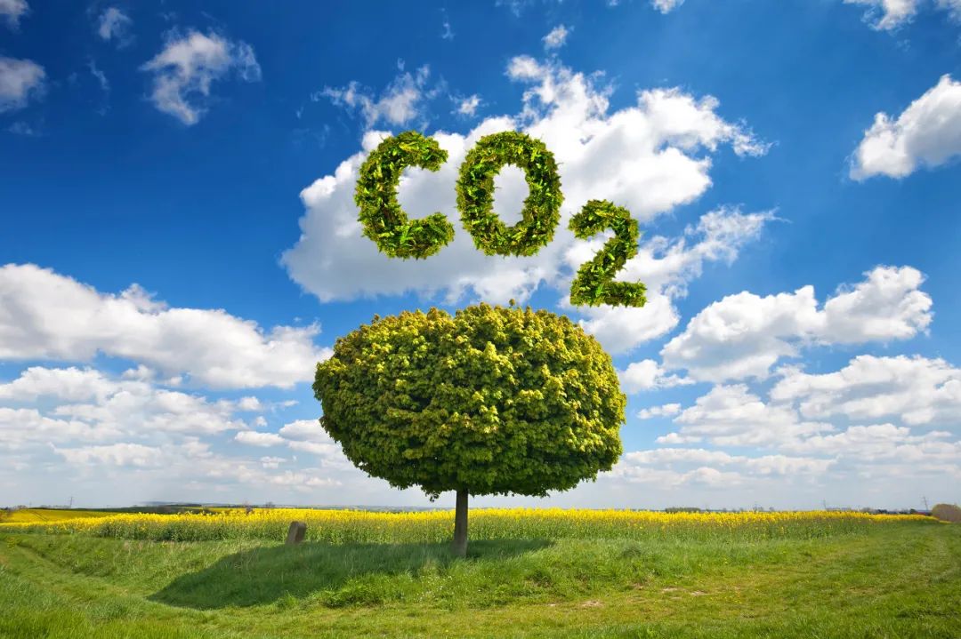 全球能源互联网如何助力“双碳”目标实现？“中国倡议”成为引领世界能源转型的旗帜